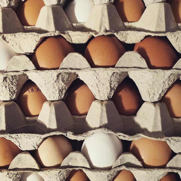 oeufs